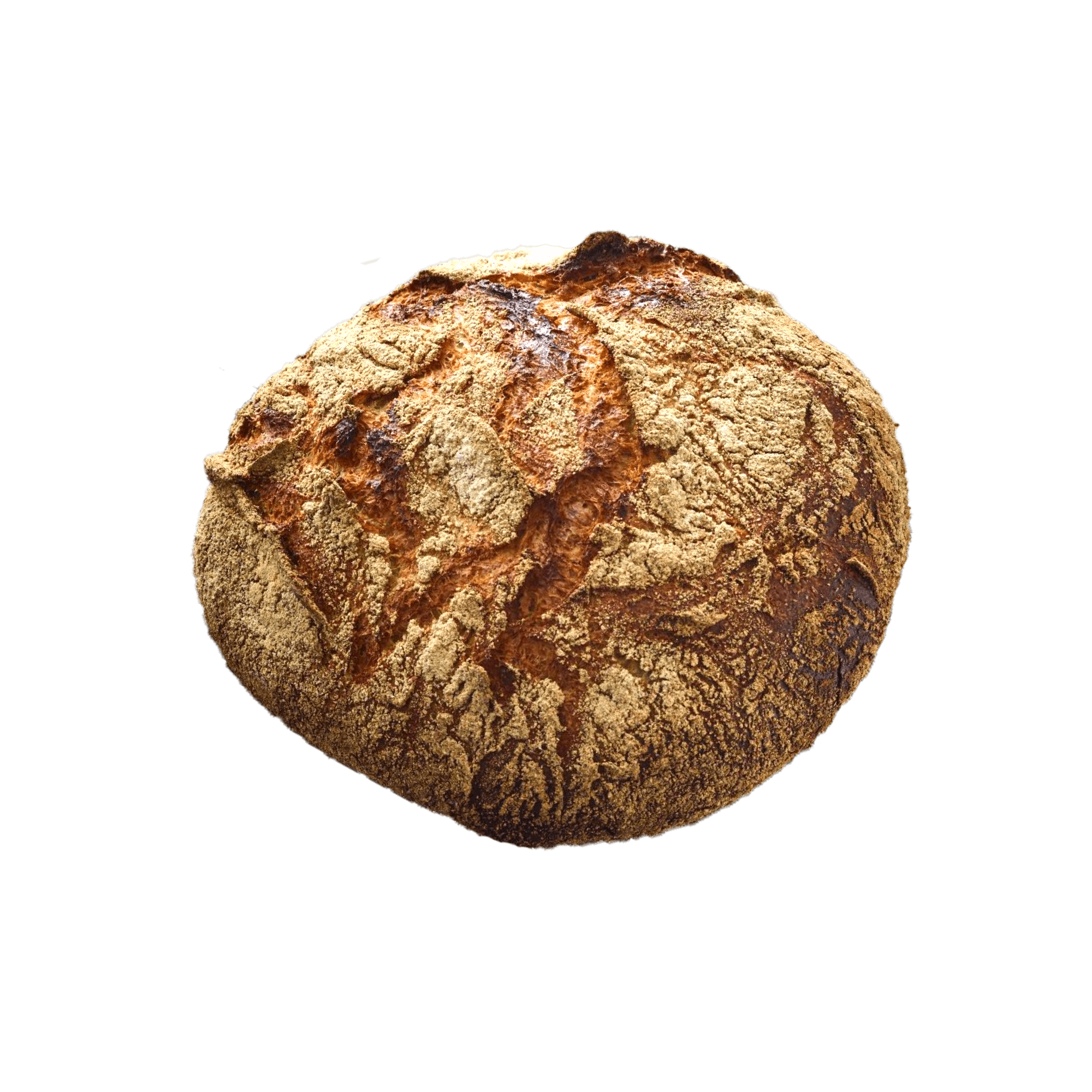 Øko Nørrebro brød